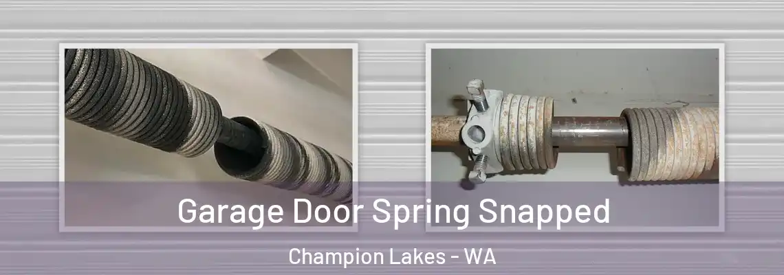  Garage Door Spring Snapped Champion Lakes - WA