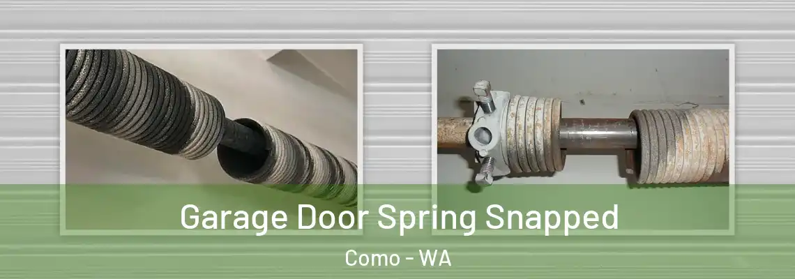  Garage Door Spring Snapped Como - WA