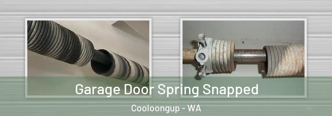  Garage Door Spring Snapped Cooloongup - WA