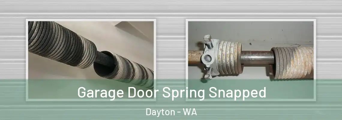  Garage Door Spring Snapped Dayton - WA