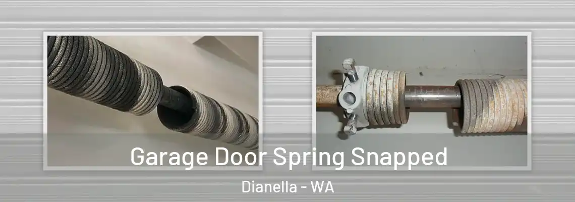 Garage Door Spring Snapped Dianella - WA