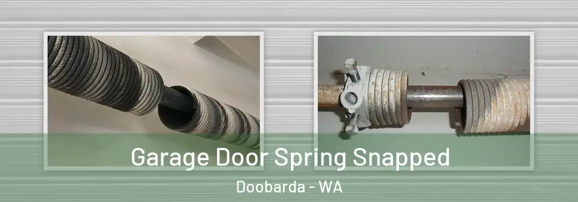  Garage Door Spring Snapped Doobarda - WA