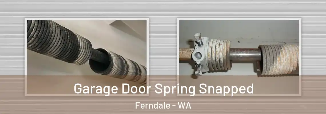  Garage Door Spring Snapped Ferndale - WA