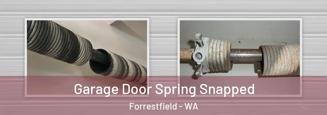  Garage Door Spring Snapped Forrestfield - WA