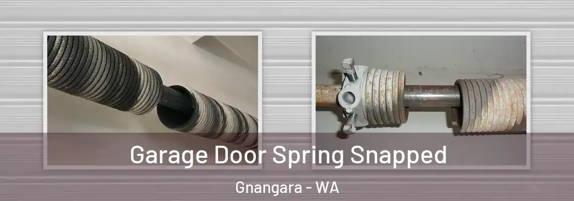  Garage Door Spring Snapped Gnangara - WA