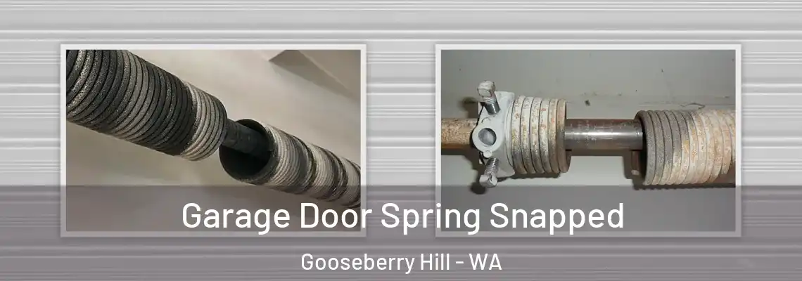  Garage Door Spring Snapped Gooseberry Hill - WA