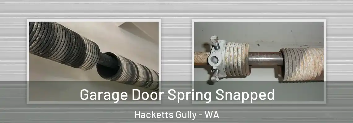  Garage Door Spring Snapped Hacketts Gully - WA