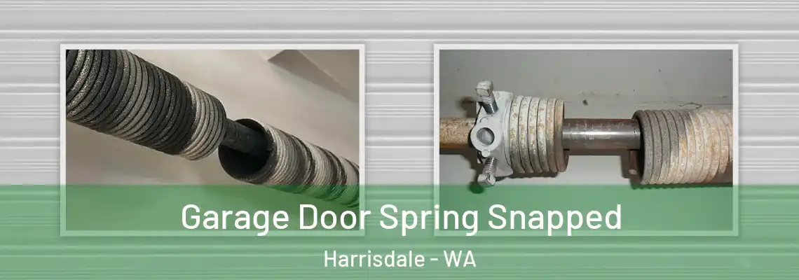  Garage Door Spring Snapped Harrisdale - WA