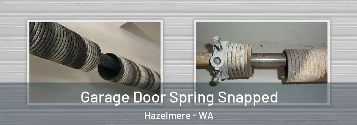  Garage Door Spring Snapped Hazelmere - WA