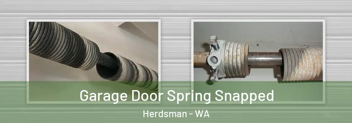  Garage Door Spring Snapped Herdsman - WA