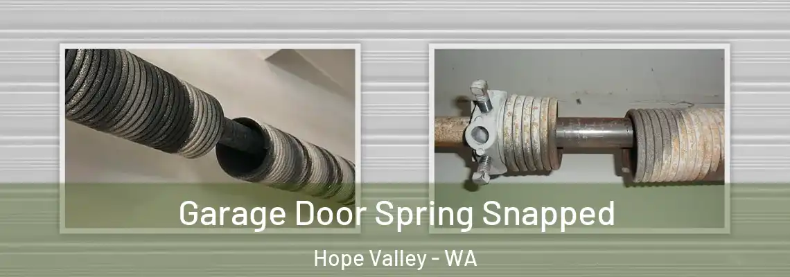  Garage Door Spring Snapped Hope Valley - WA