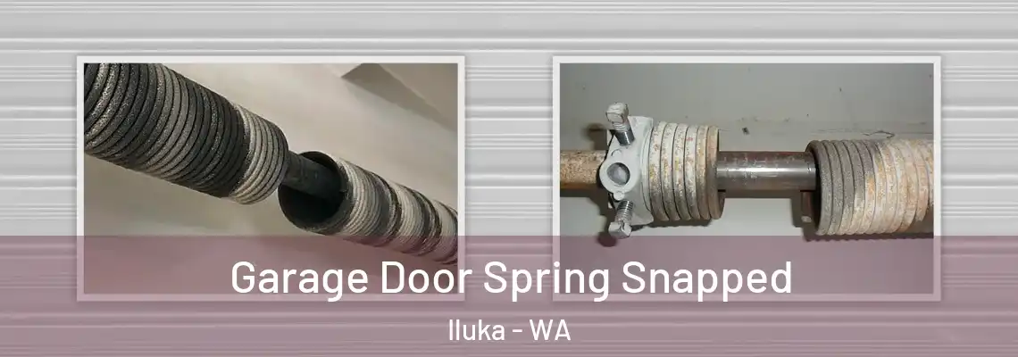  Garage Door Spring Snapped Iluka - WA