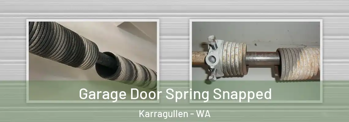  Garage Door Spring Snapped Karragullen - WA