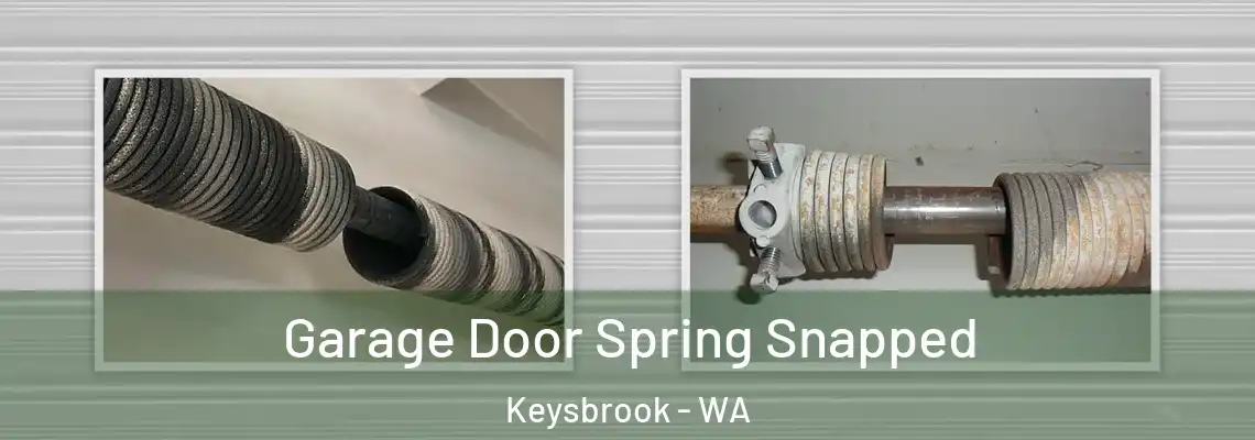  Garage Door Spring Snapped Keysbrook - WA
