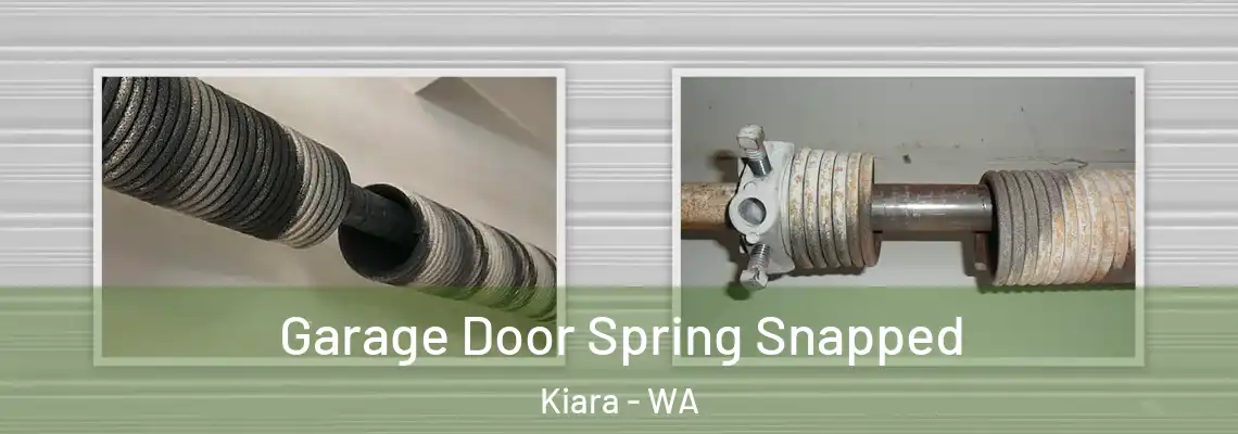  Garage Door Spring Snapped Kiara - WA