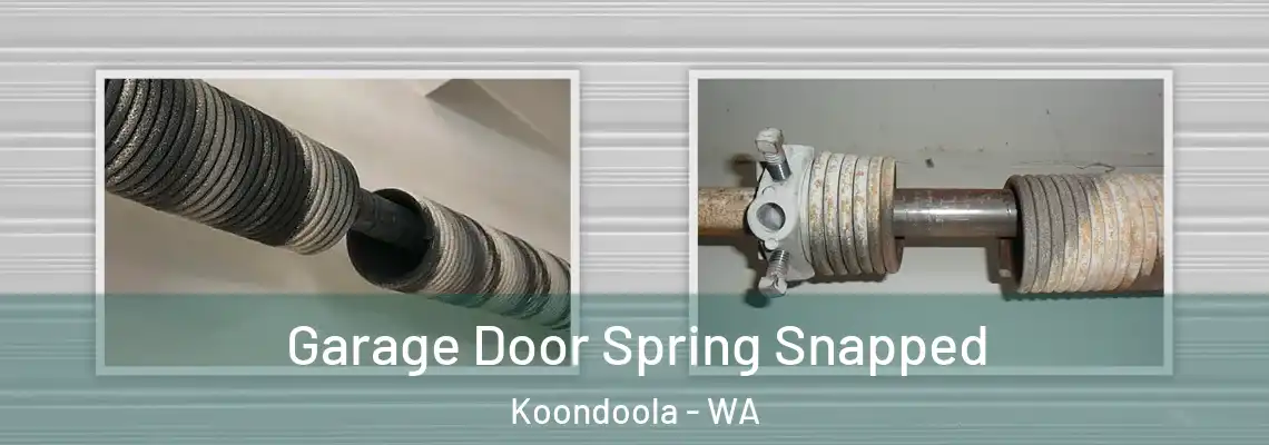  Garage Door Spring Snapped Koondoola - WA