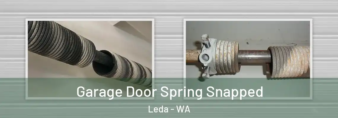  Garage Door Spring Snapped Leda - WA