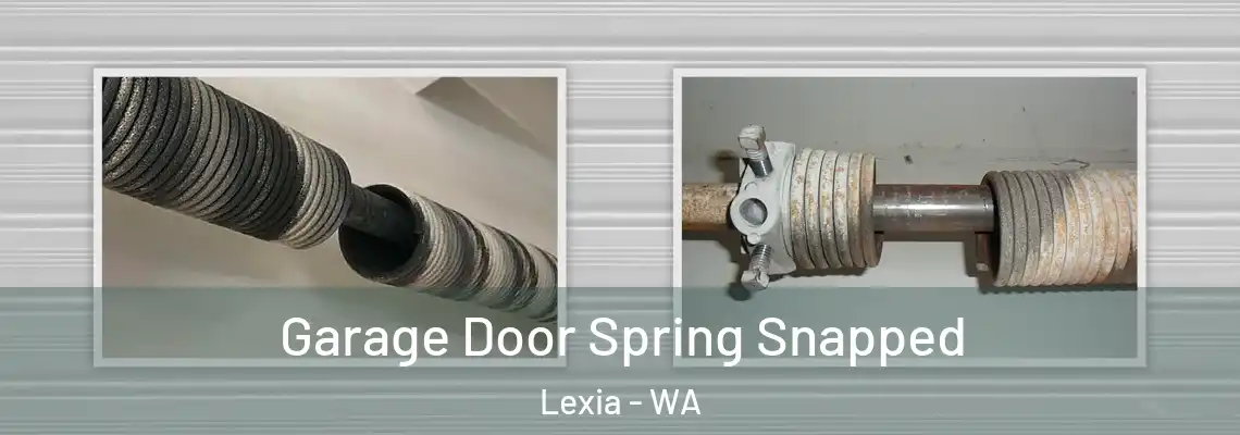  Garage Door Spring Snapped Lexia - WA