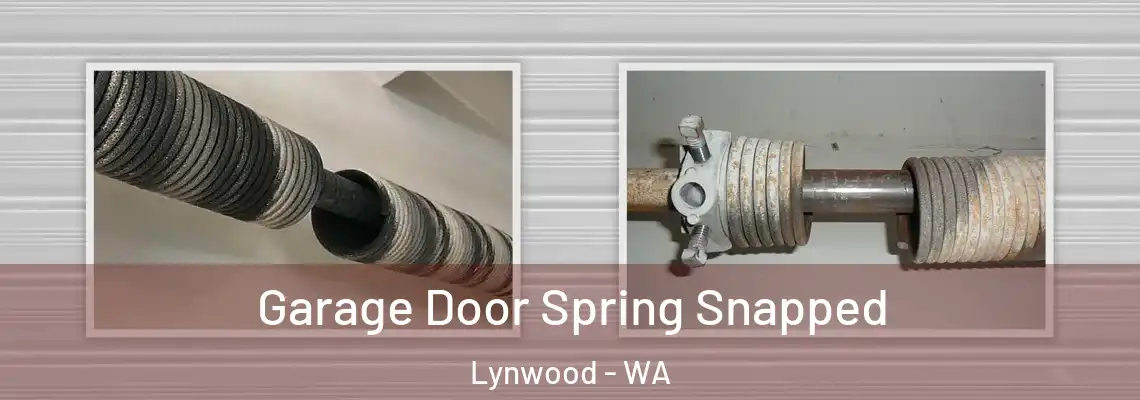  Garage Door Spring Snapped Lynwood - WA