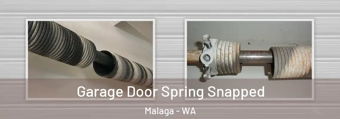  Garage Door Spring Snapped Malaga - WA