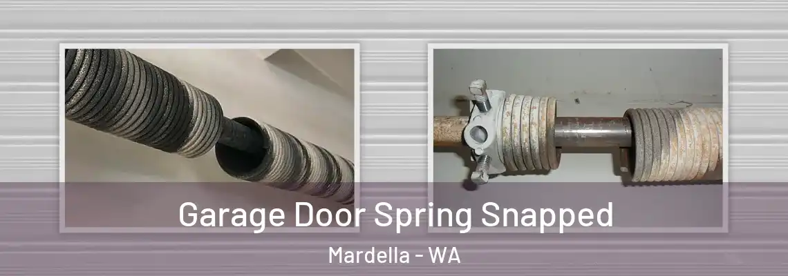  Garage Door Spring Snapped Mardella - WA
