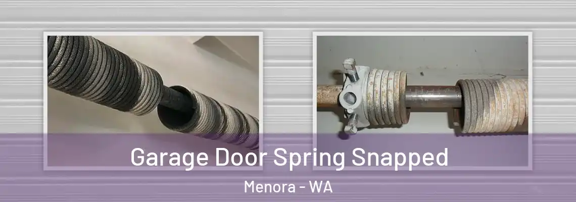  Garage Door Spring Snapped Menora - WA