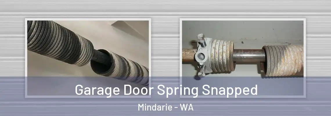  Garage Door Spring Snapped Mindarie - WA