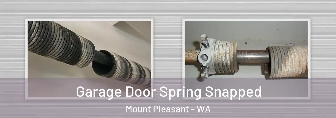  Garage Door Spring Snapped Mount Pleasant - WA