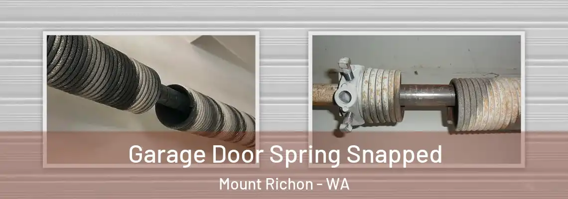  Garage Door Spring Snapped Mount Richon - WA