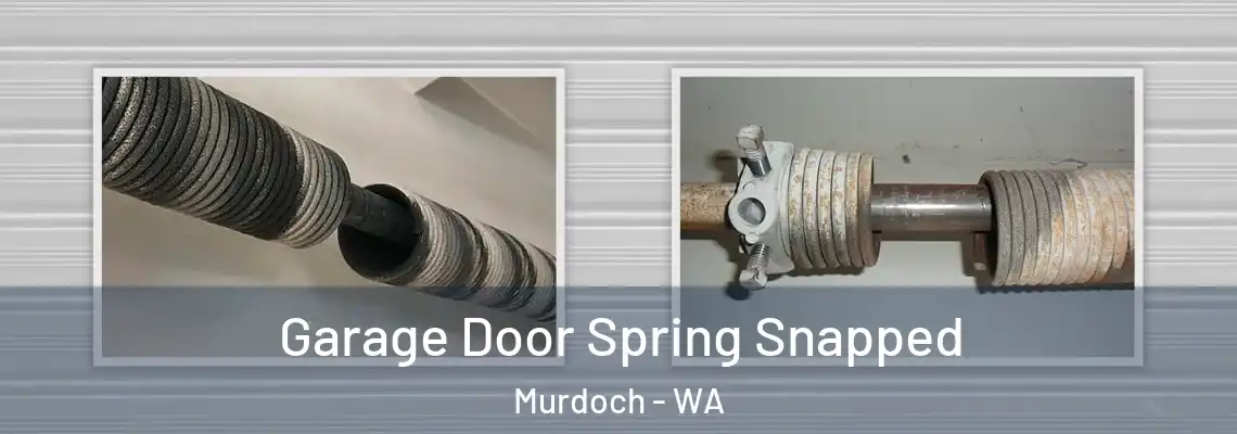  Garage Door Spring Snapped Murdoch - WA