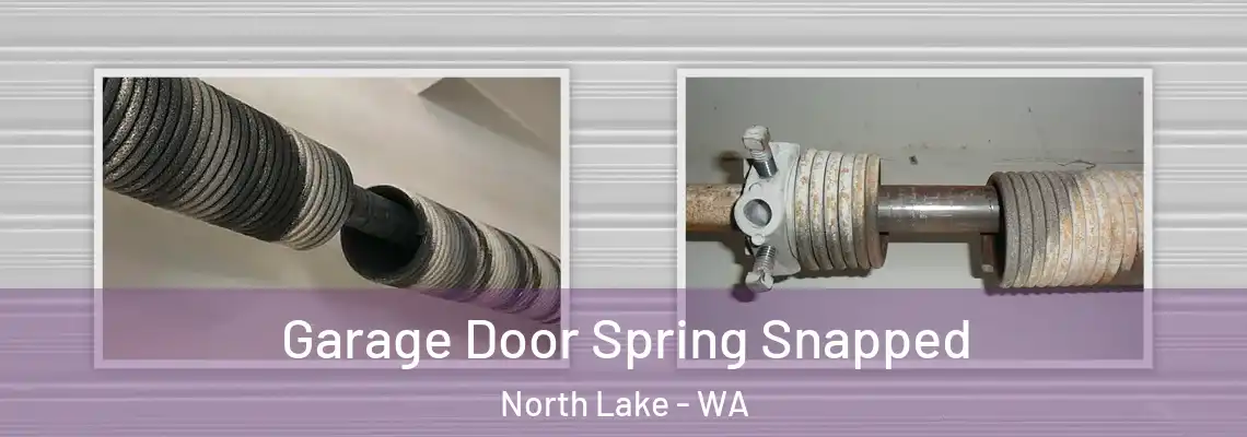  Garage Door Spring Snapped North Lake - WA