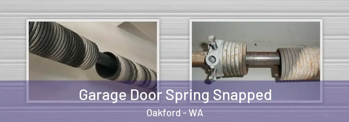  Garage Door Spring Snapped Oakford - WA