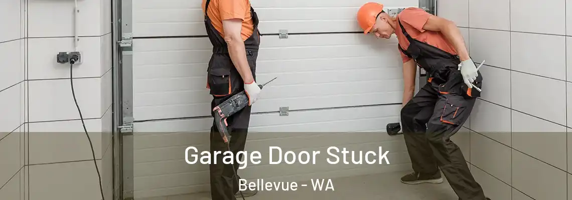  Garage Door Stuck Bellevue - WA