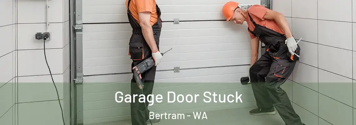  Garage Door Stuck Bertram - WA