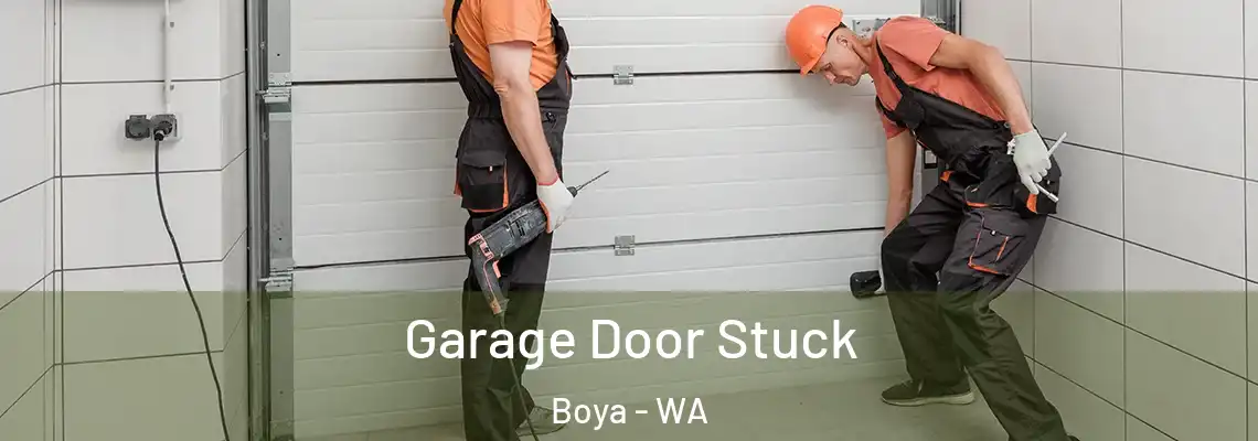  Garage Door Stuck Boya - WA