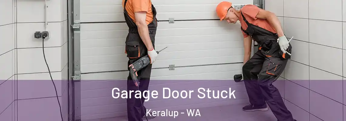  Garage Door Stuck Keralup - WA