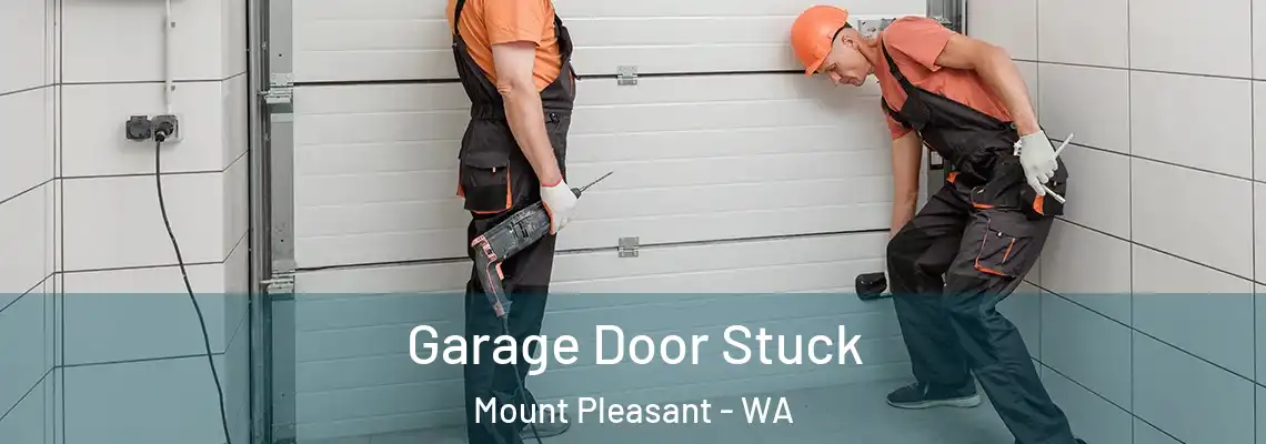  Garage Door Stuck Mount Pleasant - WA