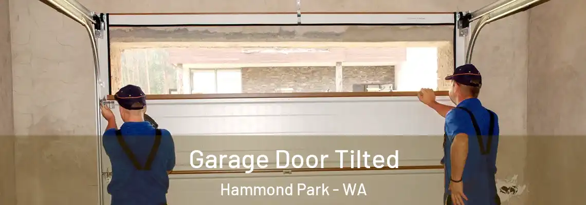  Garage Door Tilted Hammond Park - WA