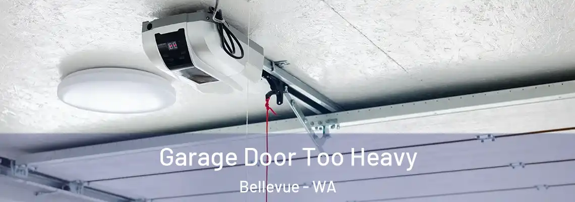  Garage Door Too Heavy Bellevue - WA