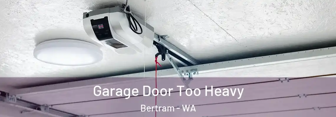  Garage Door Too Heavy Bertram - WA