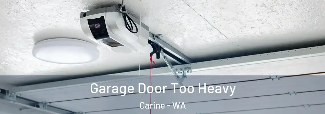  Garage Door Too Heavy Carine - WA