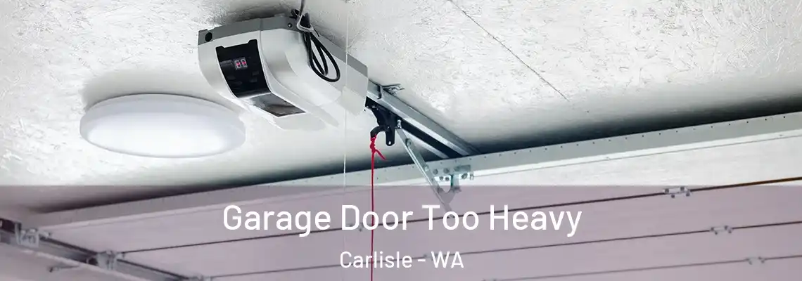  Garage Door Too Heavy Carlisle - WA