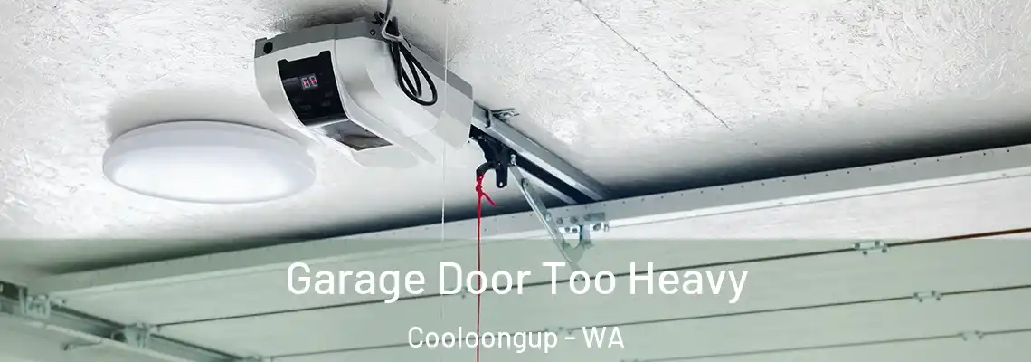  Garage Door Too Heavy Cooloongup - WA