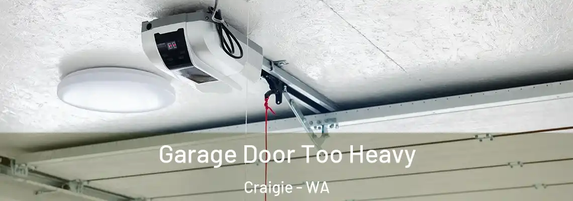  Garage Door Too Heavy Craigie - WA