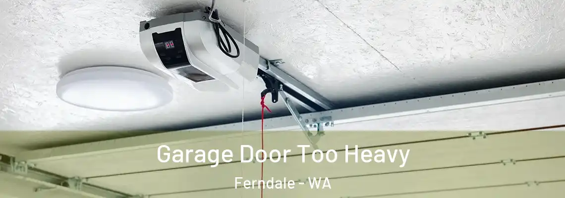  Garage Door Too Heavy Ferndale - WA