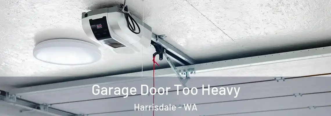  Garage Door Too Heavy Harrisdale - WA
