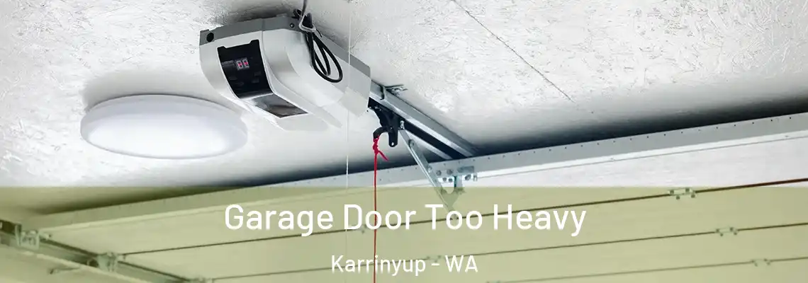  Garage Door Too Heavy Karrinyup - WA
