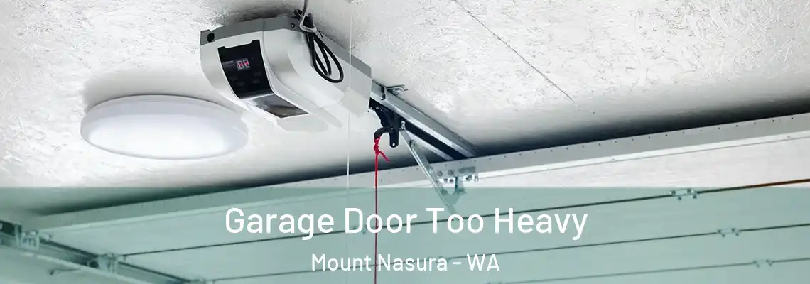  Garage Door Too Heavy Mount Nasura - WA