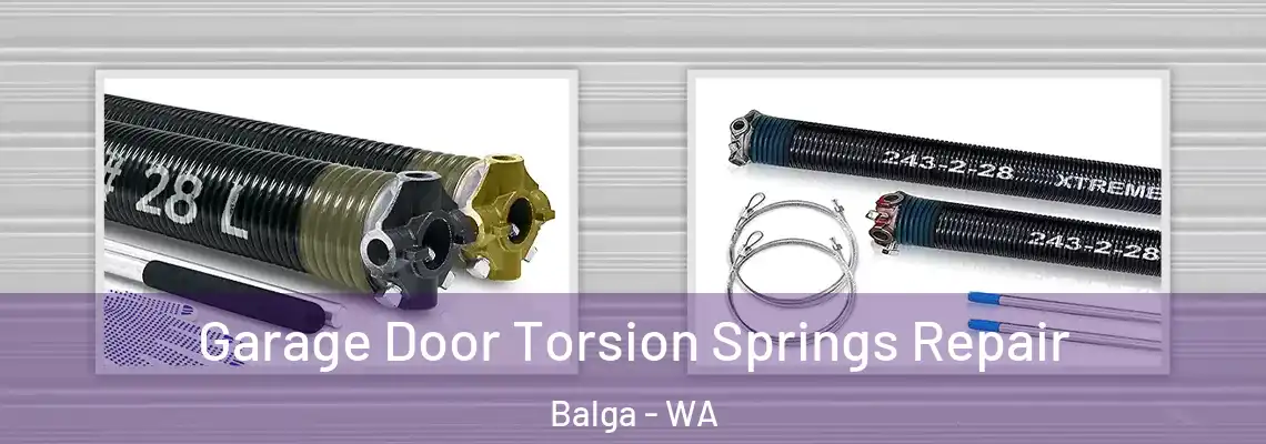  Garage Door Torsion Springs Repair Balga - WA