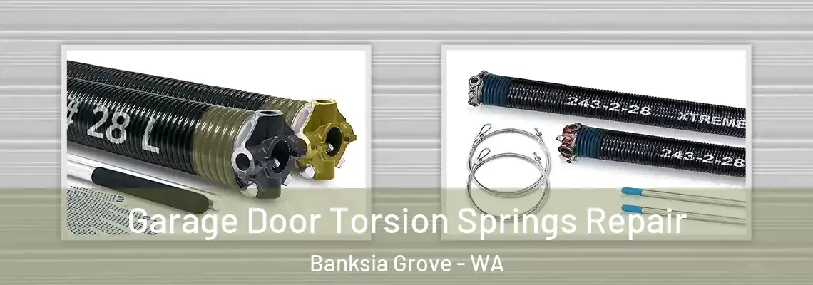  Garage Door Torsion Springs Repair Banksia Grove - WA